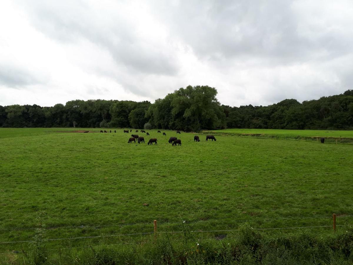 Gastenverblijf 'T Nagtegaeltje Sint-Oedenrode Zewnętrze zdjęcie